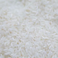 Protéine de riz